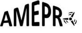 AMEPRO logo