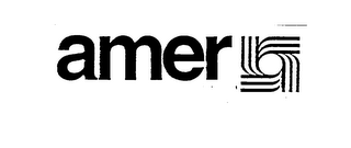 AMER logo