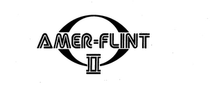 AMER-FLINT II logo