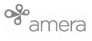 AMERA logo