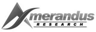 AMERANDUS RESEARCH logo