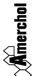 AMERCHOL logo