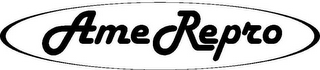 AMEREPRO logo