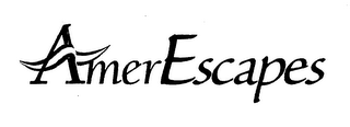 AMERESCAPES logo