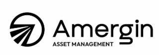AMERGIN ASSET MANAGEMENT logo