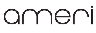 AMERI logo