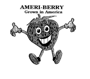 AMERI-BERRY GROWN IN AMERICA logo