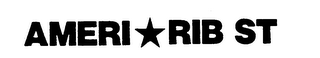 AMERI-RIB ST logo