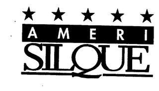 AMERI SILQUE logo