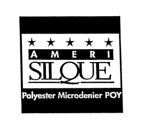 AMERI SILQUE POLYESTER MICRODENIER POY logo