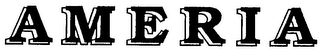 AMERIA logo