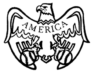 AMERICA logo