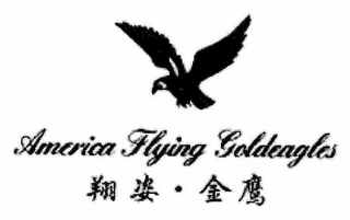AMERICA FLYING GOLDEAGLES logo