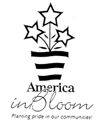AMERICA IN BLOOM PLANTING PRIDE IN OUR COMMUNITIES! logo