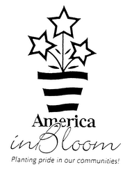 AMERICA IN BLOOM PLANTING PRIDE IN OUR COMMUNITIES! logo