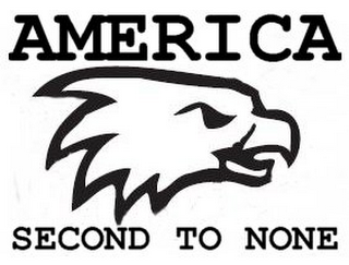 AMERICA SECOND TO NONE logo
