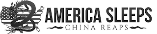 AMERICA SLEEPS CHINA REAPS logo