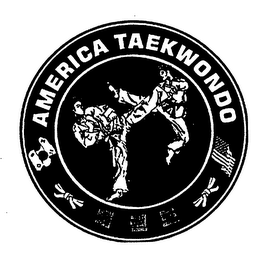 AMERICA TAEKWONDO logo