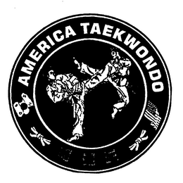 AMERICA TAEKWONDO logo