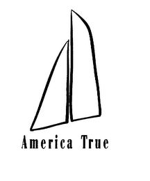 AMERICA TRUE logo