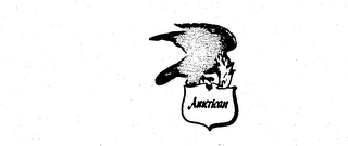 AMERICAN logo