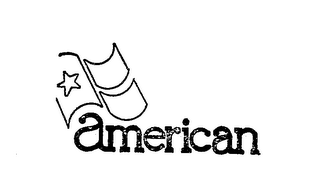 AMERICAN logo