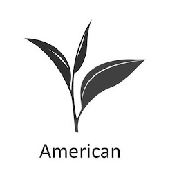 AMERICAN logo