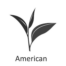 AMERICAN logo