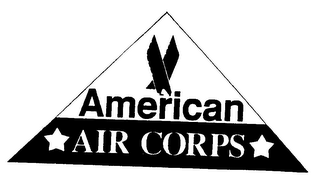 AMERICAN AIR CORPS logo