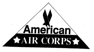 AMERICAN AIR CORPS logo