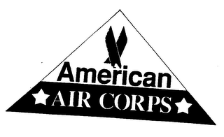 AMERICAN AIR CORPS logo