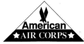 AMERICAN AIR CORPS logo