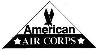 AMERICAN AIR CORPS logo