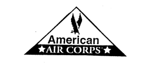 AMERICAN AIR CORPS logo