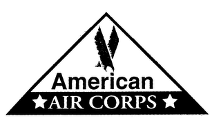 AMERICAN AIR CORPS logo