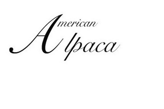AMERICAN ALPACA logo