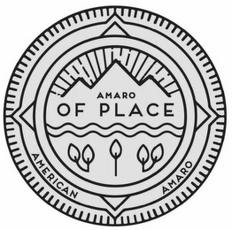 AMERICAN AMARO AMARO OF PLACE logo