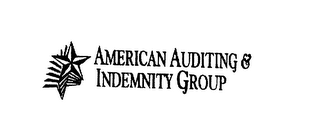 AMERICAN AUDITING & INDEMNITY GROUP logo