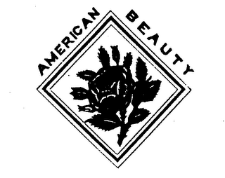 AMERICAN BEAUTY logo