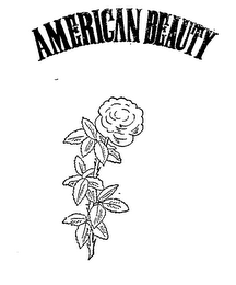 AMERICAN BEAUTY logo