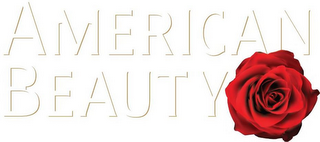 AMERICAN BEAUTY logo