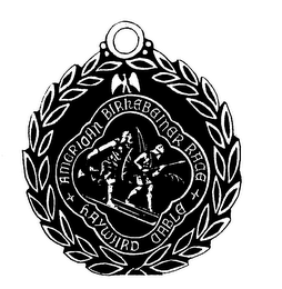 AMERICAN BIRKEBEINER RACE HAYWARD CABLE logo
