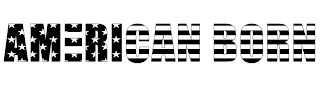 AMERICAN BORN logo