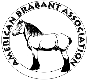 AMERICAN BRABANT ASSOCIATION logo