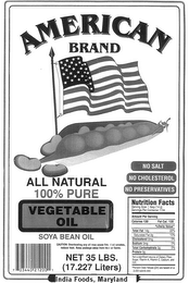 AMERICAN BRAND logo