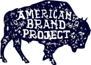 AMERICAN BRAND PROJECT logo