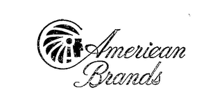 AMERICAN BRANDS logo