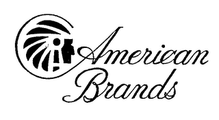 AMERICAN BRANDS logo