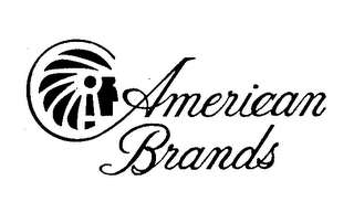 AMERICAN BRANDS logo