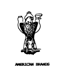 AMERICAN BRANDS logo